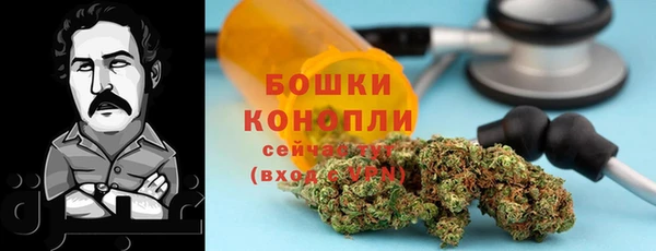 дурь Бородино