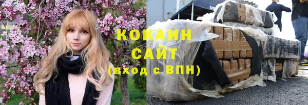 дурь Бородино