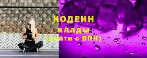 дурь Бородино