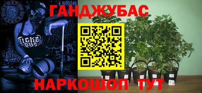 мяу мяу кристалл Гатчина