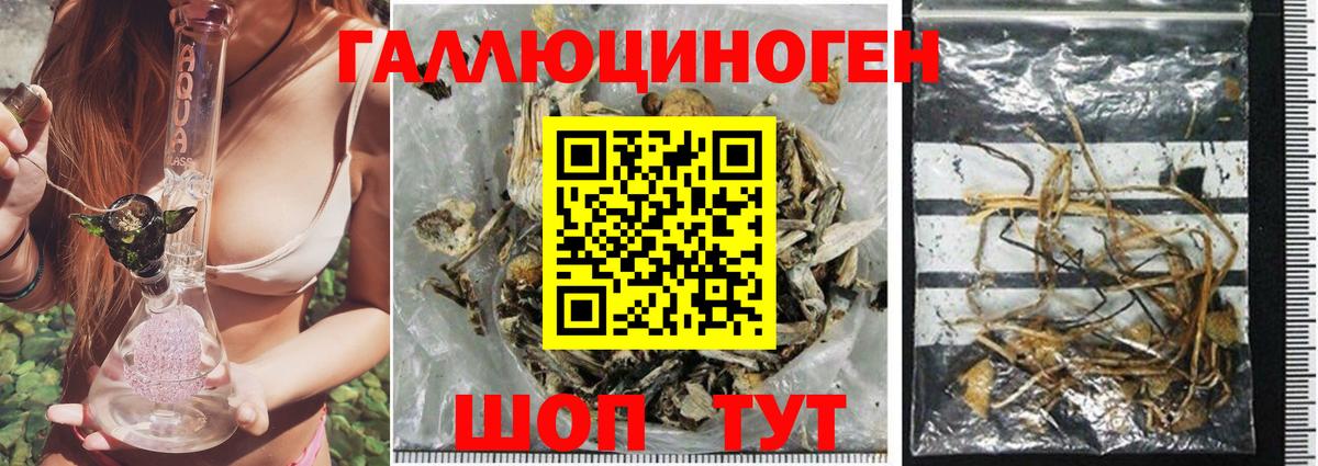 Галлюциногенные грибы MAGIC MUSHROOMS Гусев