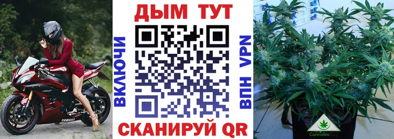 где можно купить   Гусев  МАРИХУАНА Amnesia 
