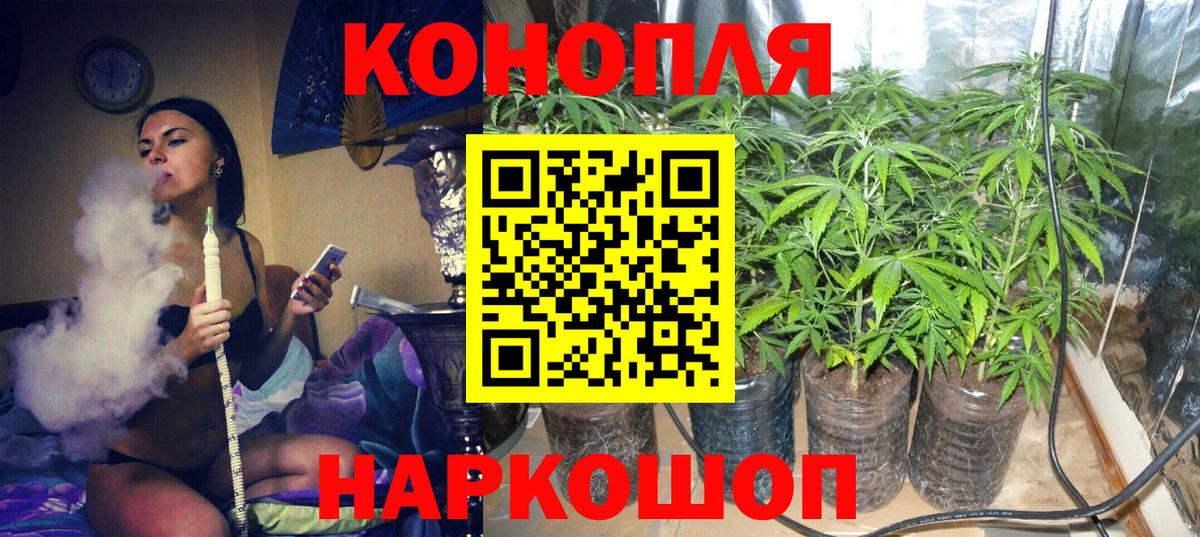 Канабис VHQ Гусев